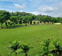 The Woodgrove (D25), Apartment #570168131
